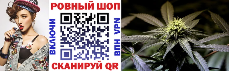Виды наркотиков купить Слюдянка ГАШИШ  Галлюциногенные грибы  Меф мяу мяу  гидра зеркало  Кокаин  Канабис 
