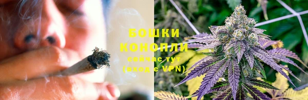 ГАЛЛЮЦИНОГЕННЫЕ ГРИБЫ Алзамай