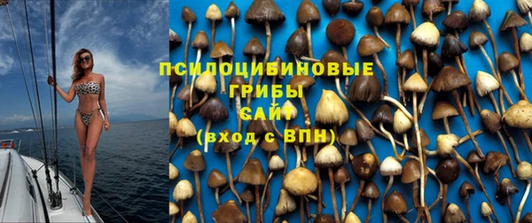 ГАЛЛЮЦИНОГЕННЫЕ ГРИБЫ Алзамай