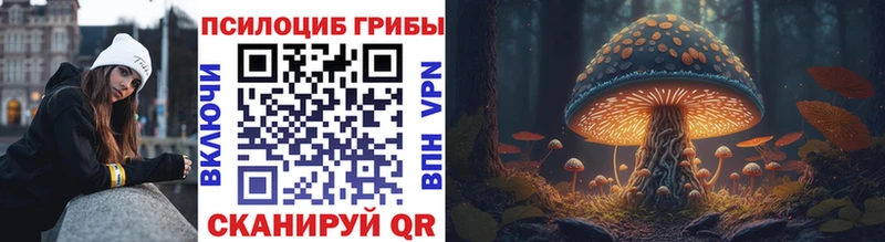 Псилоцибиновые грибы прущие грибы  Слюдянка 